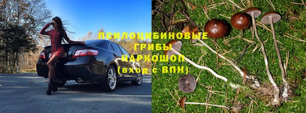 трава Балабаново